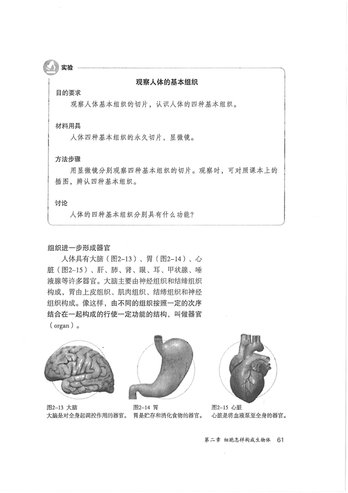 动物体的结构层次(3)