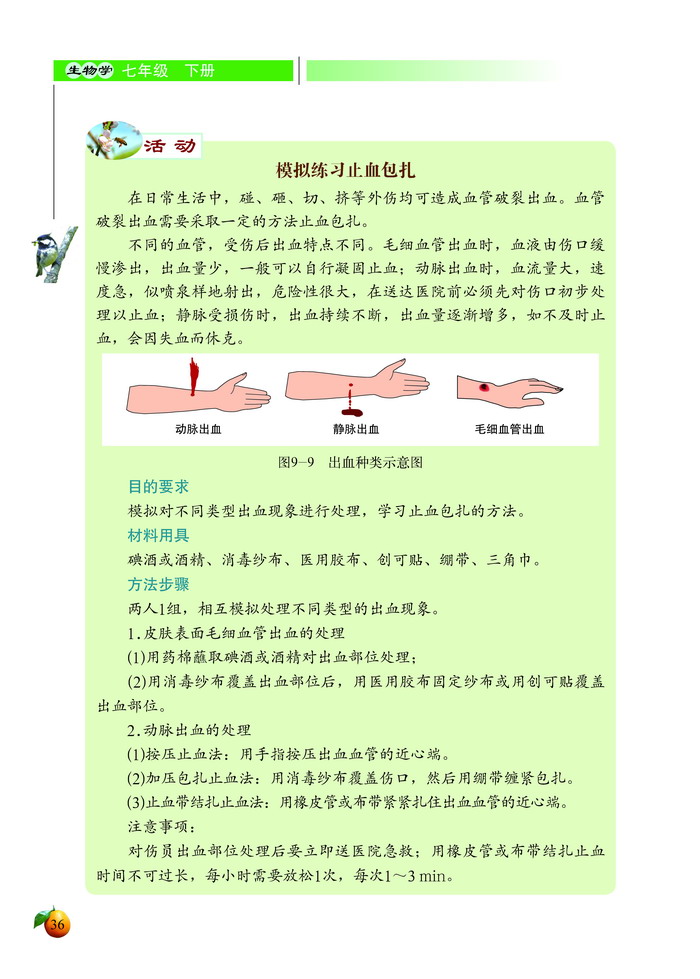 血液循环(4)