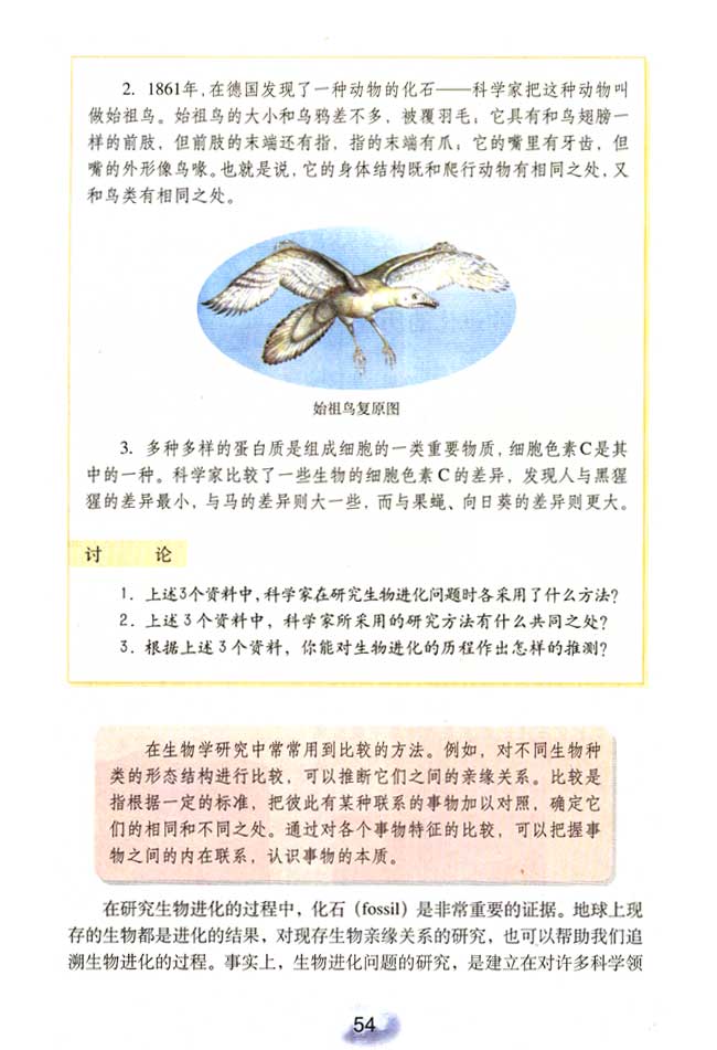 第二节 生物进化的历程(2)