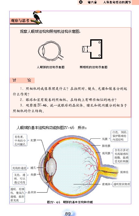 人体生命活动的调节(3)