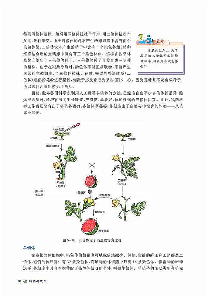 染色体变异(6)