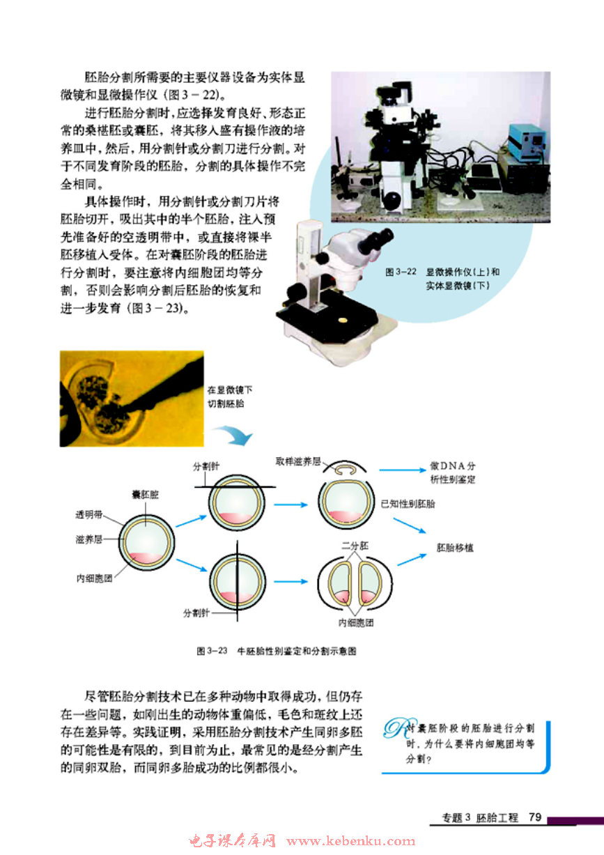 「3」.3 胚胎工程的應(yīng)用及前景(6)