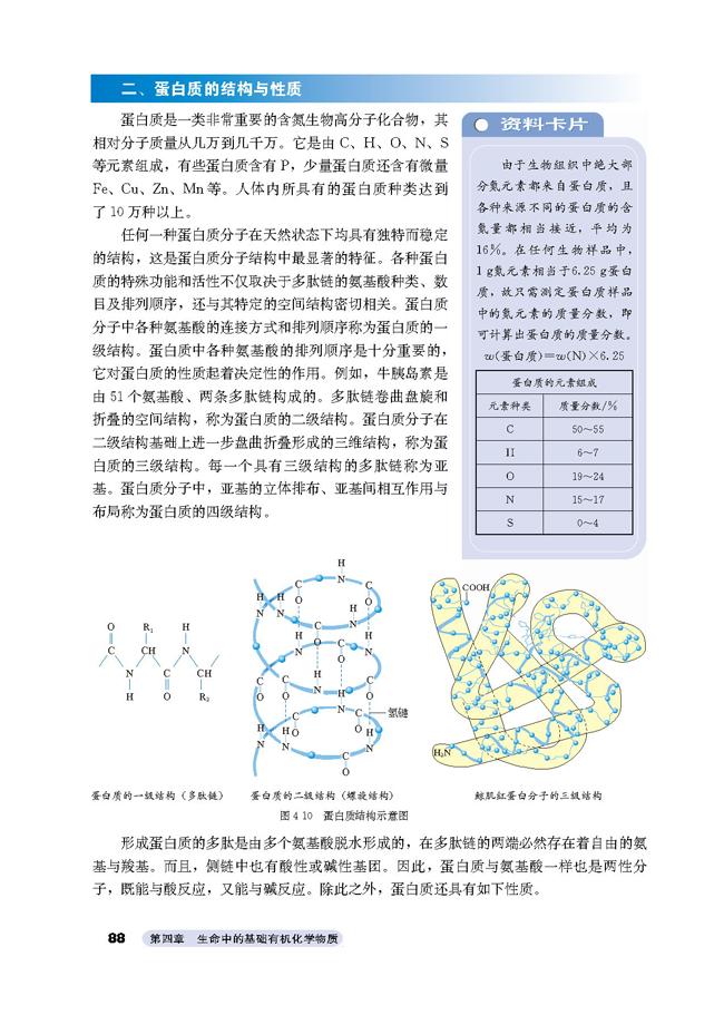 第三节 蛋白质和核酸(3)