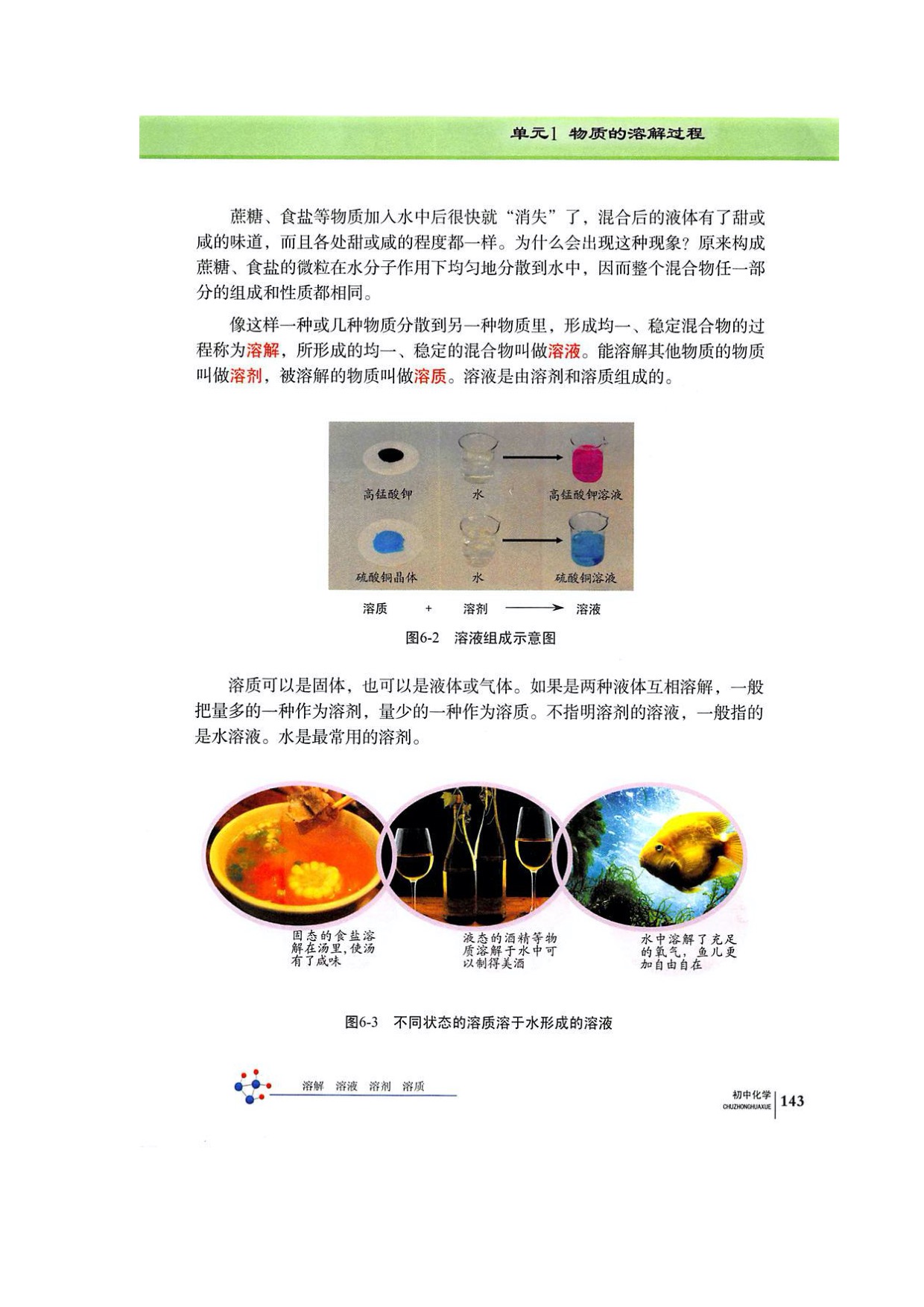 单元1物质的溶解过程(2)