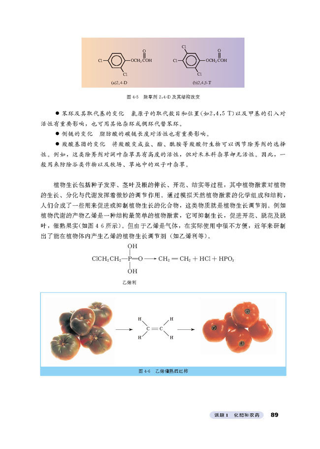 课题1 化肥和农药(6)