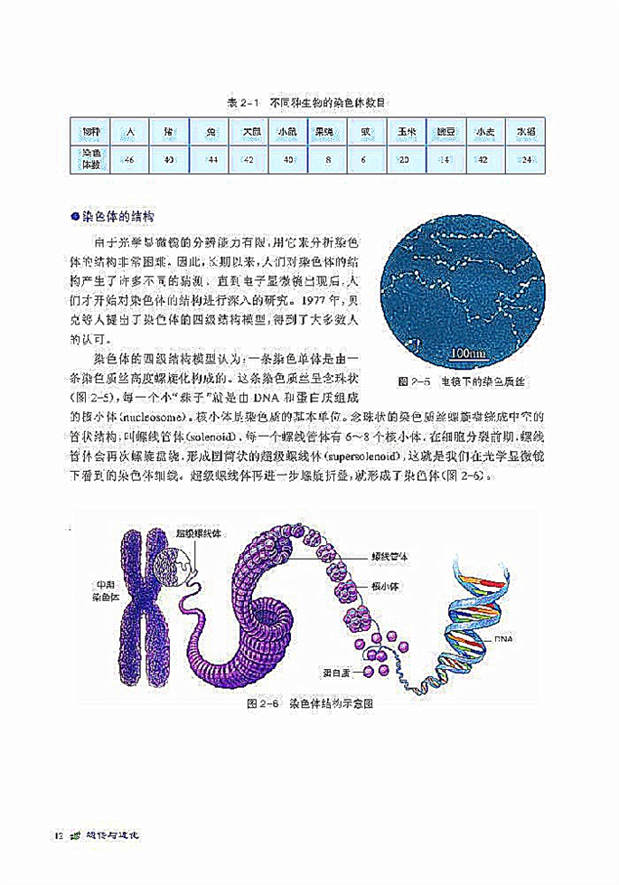 染色体是遗传信息的载体(4)