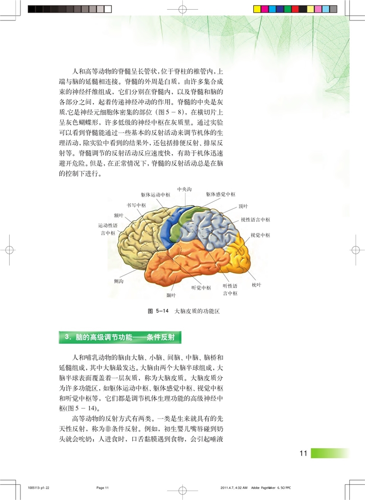 神经系统中信息的传递和调节(6)