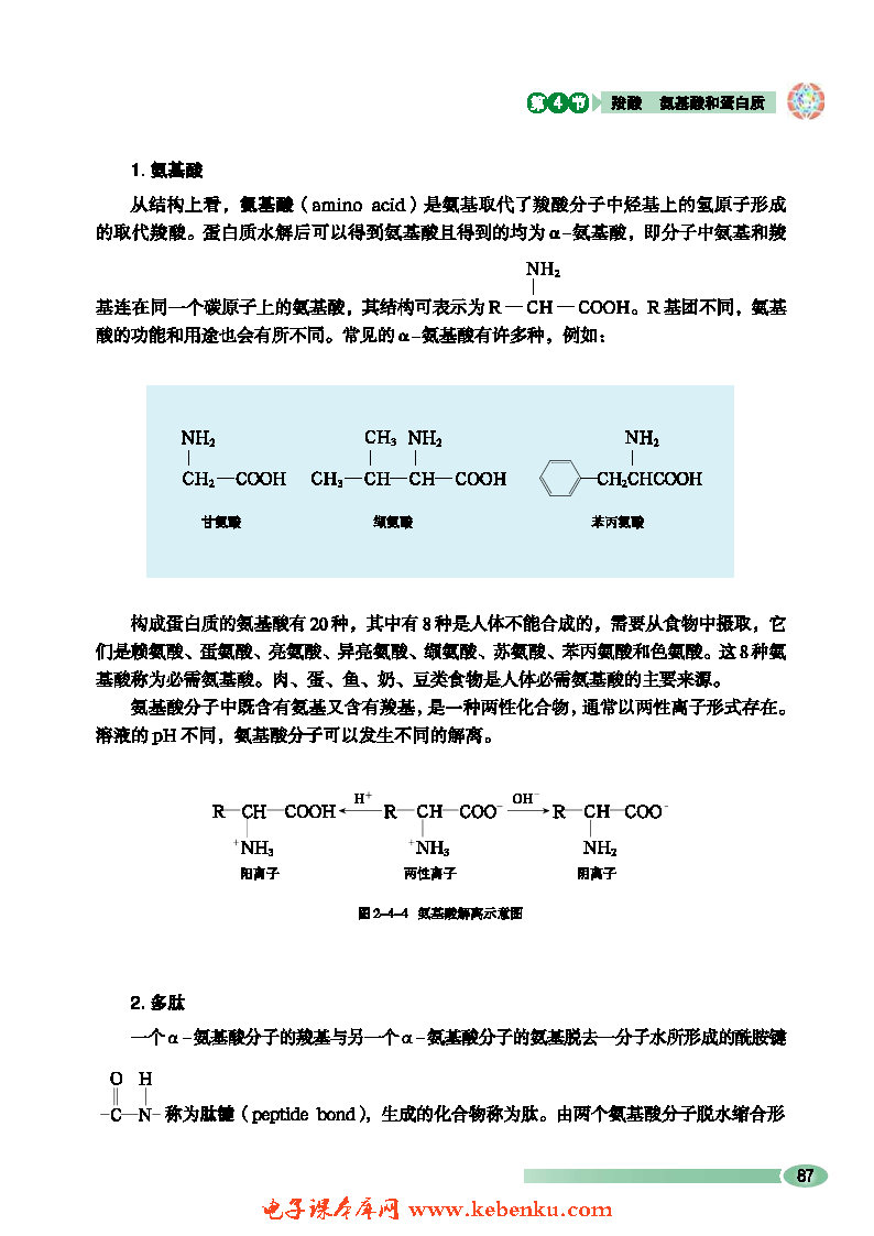 第4节 羧酸 氨基酸和蛋白质(7)