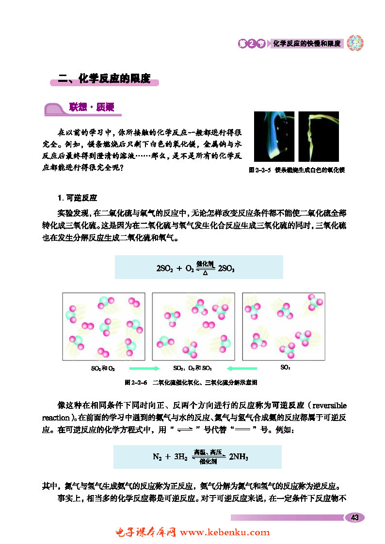 第2节 化学反应的快慢和限度(4)