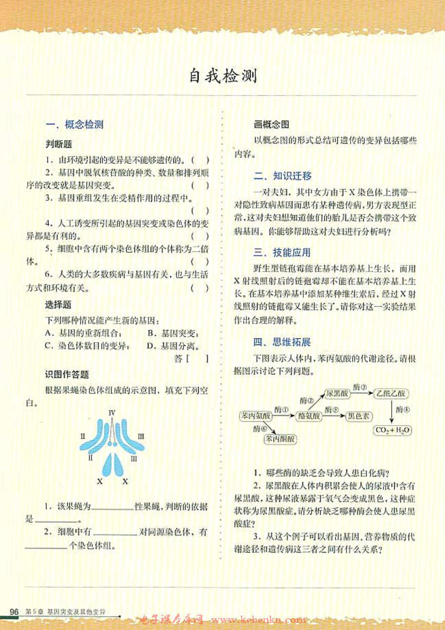 科学·技术·社会 基因治疗(3)