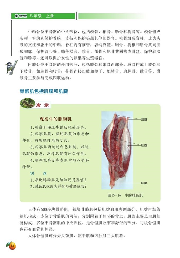 动物运动的形成(7)