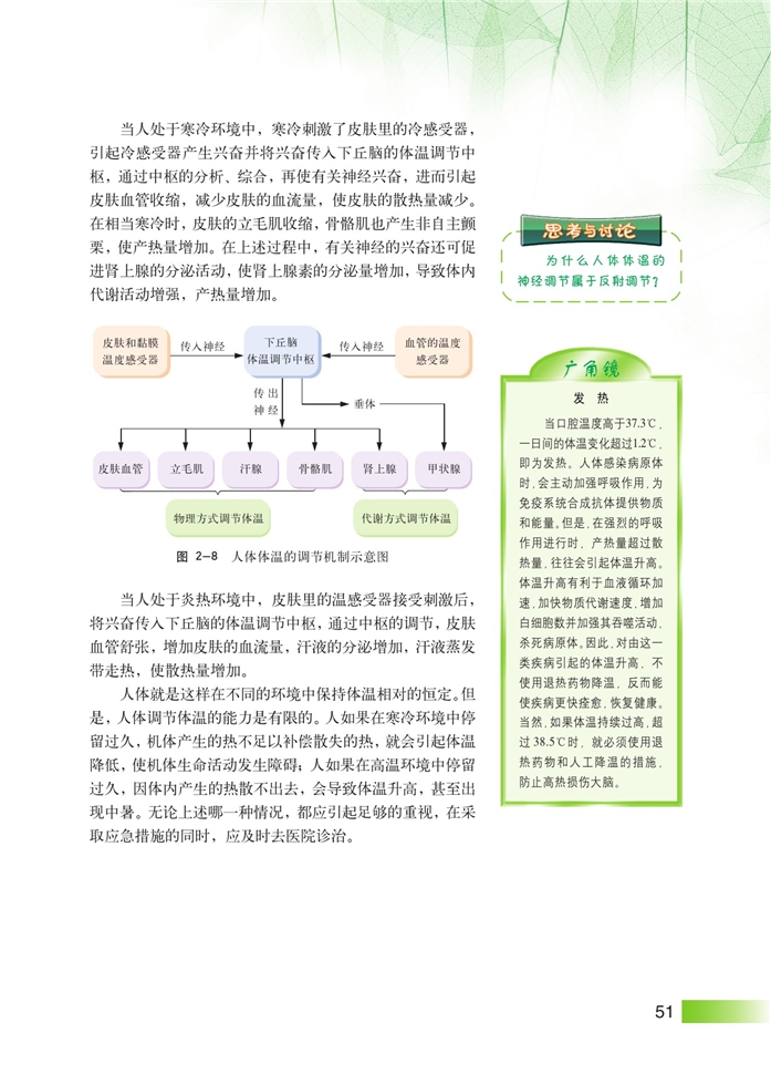 人体的体温及其调节(4)