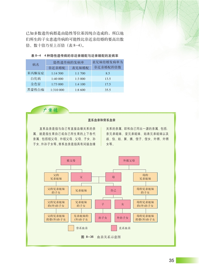 人类遗传病和遗传病预防(5)