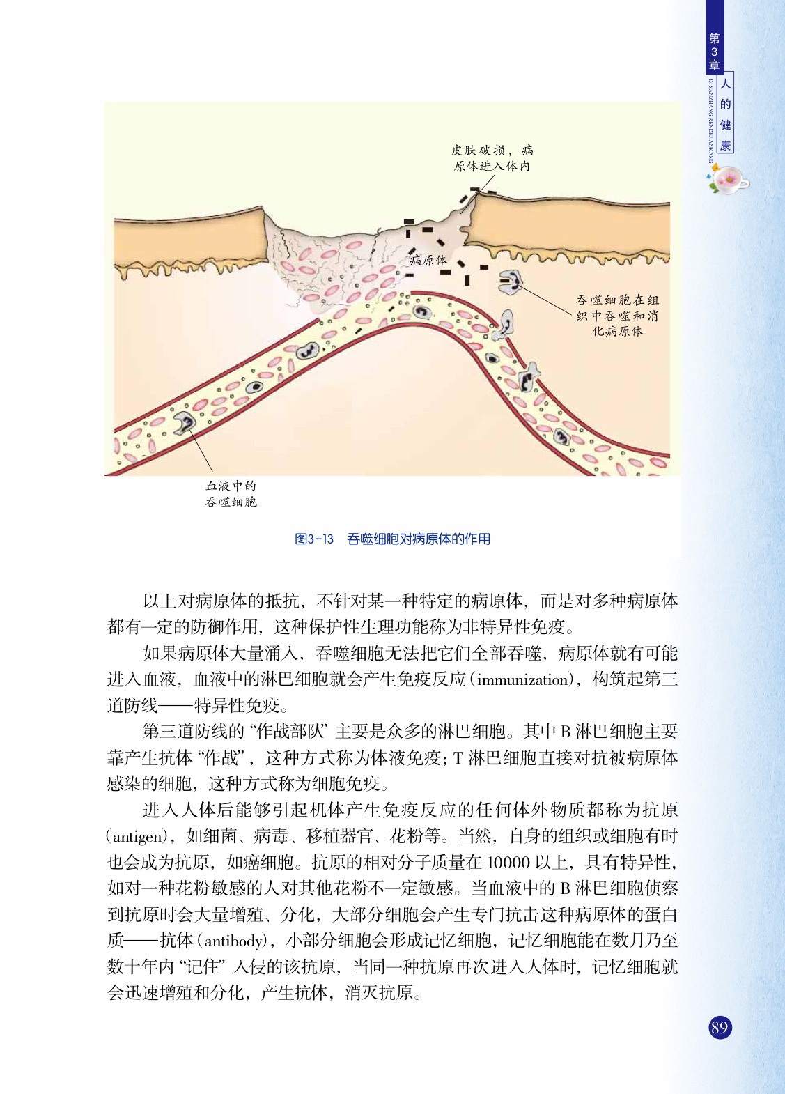 「3」 身体的防卫(3)