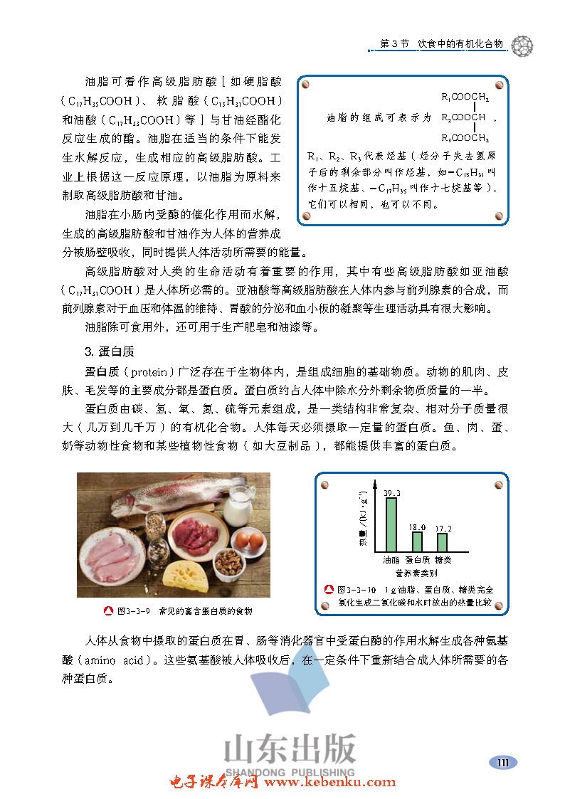 第3节 饮食中的有机化合物(9)