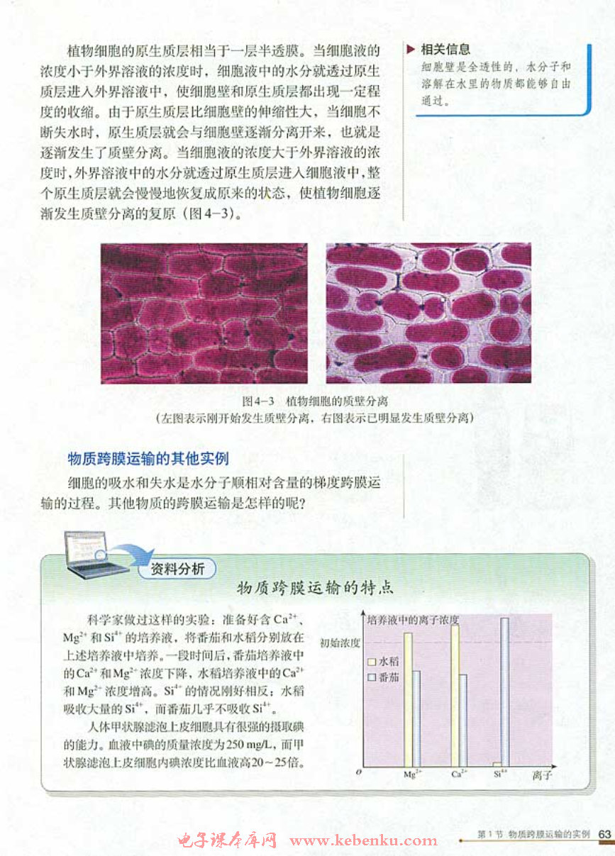 第1节 物质跨膜运输的实例(4)