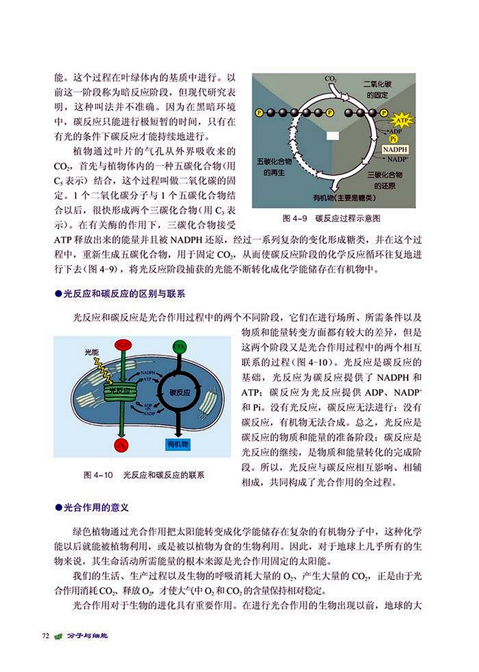 能量的获得(7)