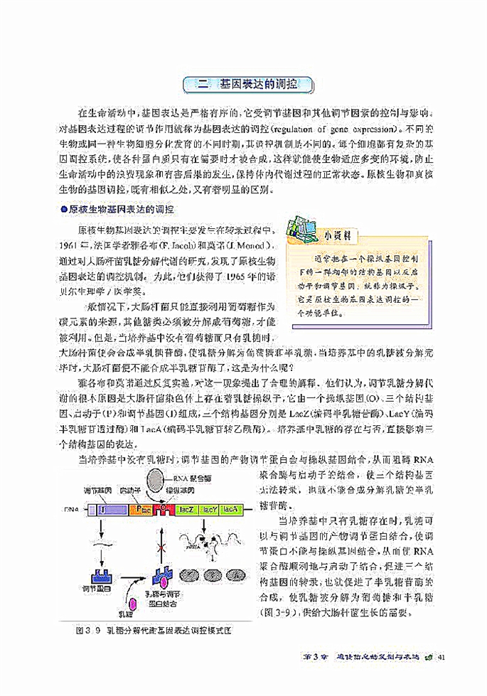 遗传信息的表达(6)