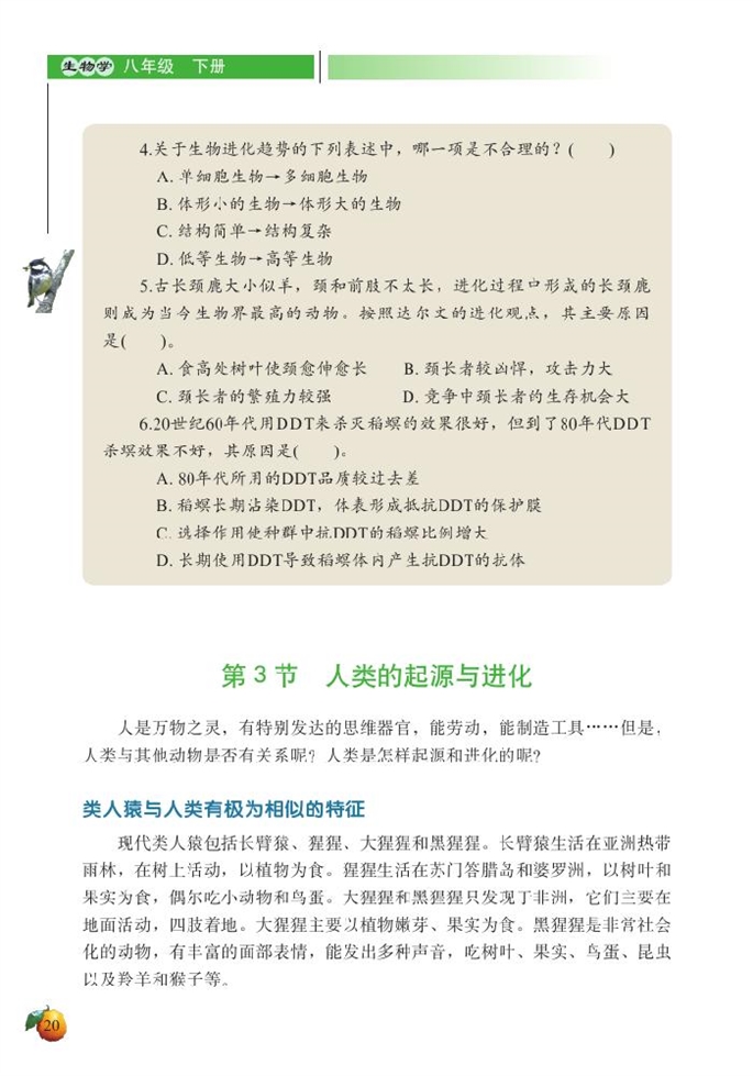 人类的起源与进化(2)