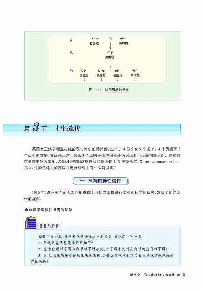 伴性遗传