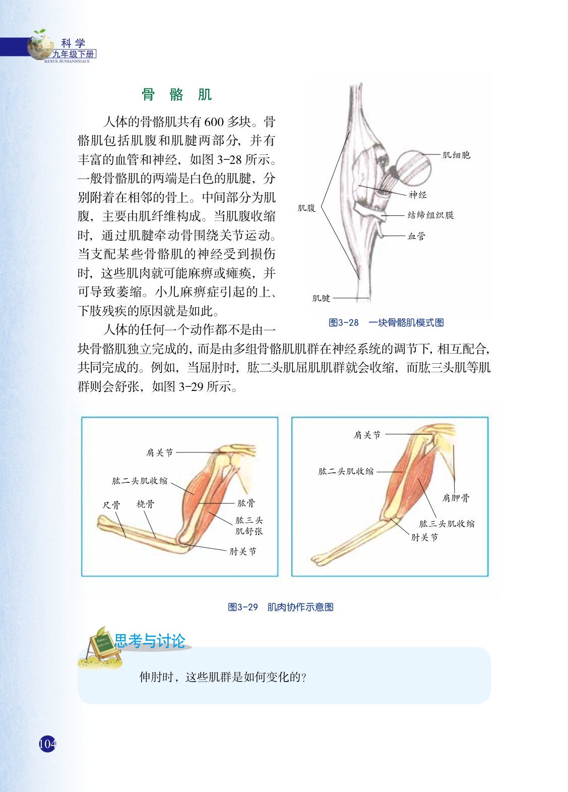 「5」 人的运动系统和保健(5)