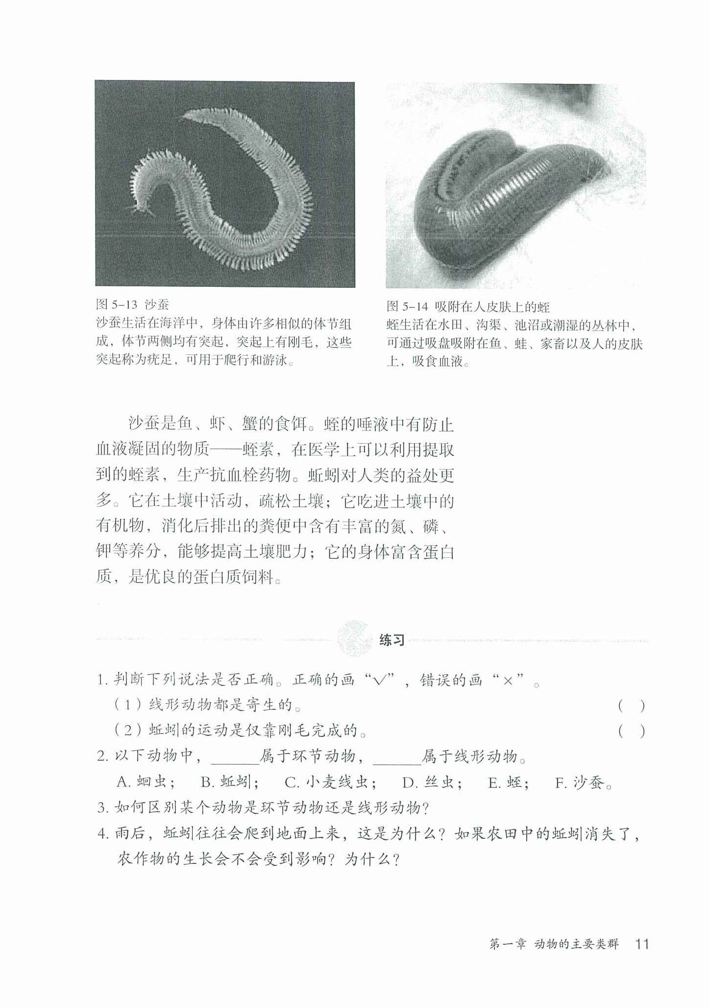 实验 观察蚯蚓(2)