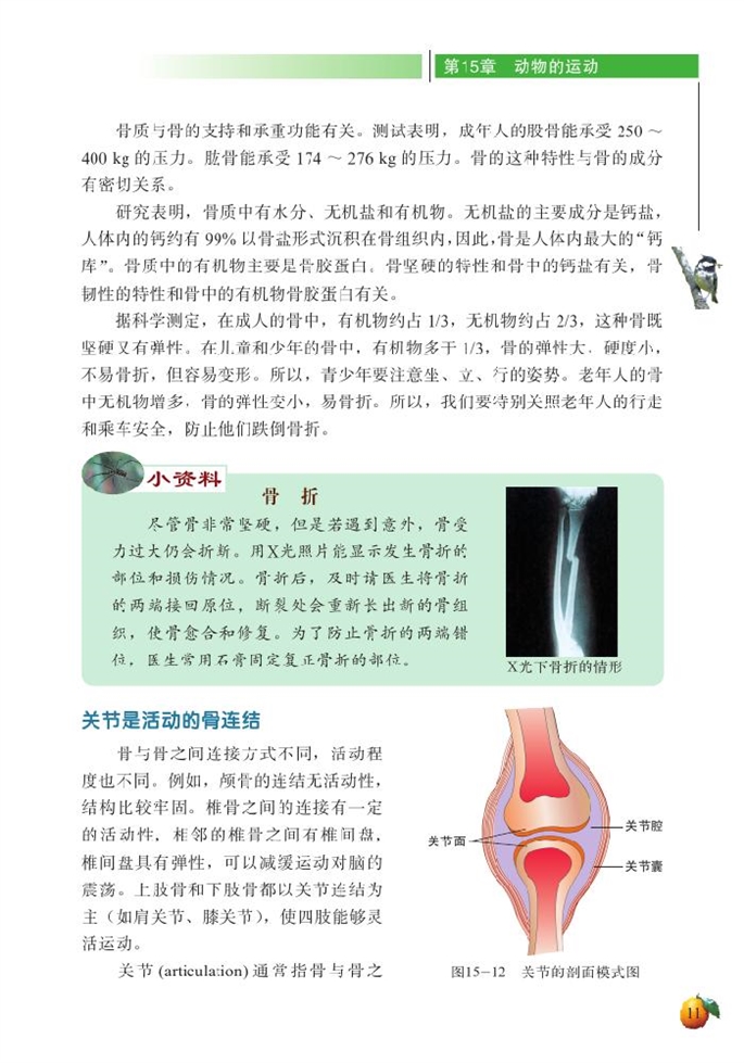 动物运动的形成(4)