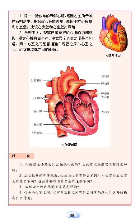输送血液的泵-心脏(2)