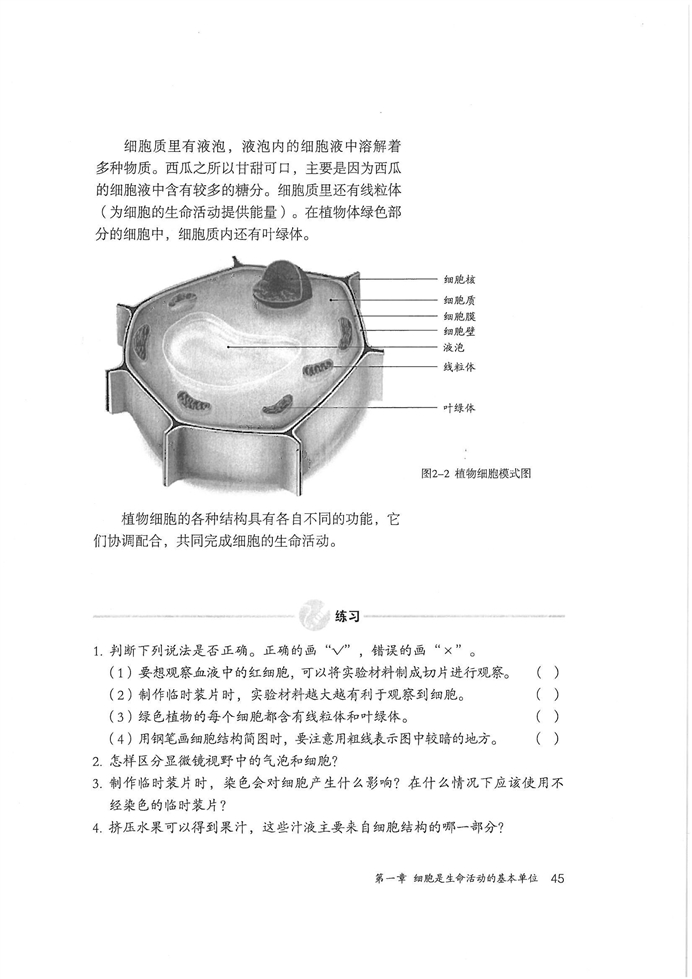 植物细胞(4)