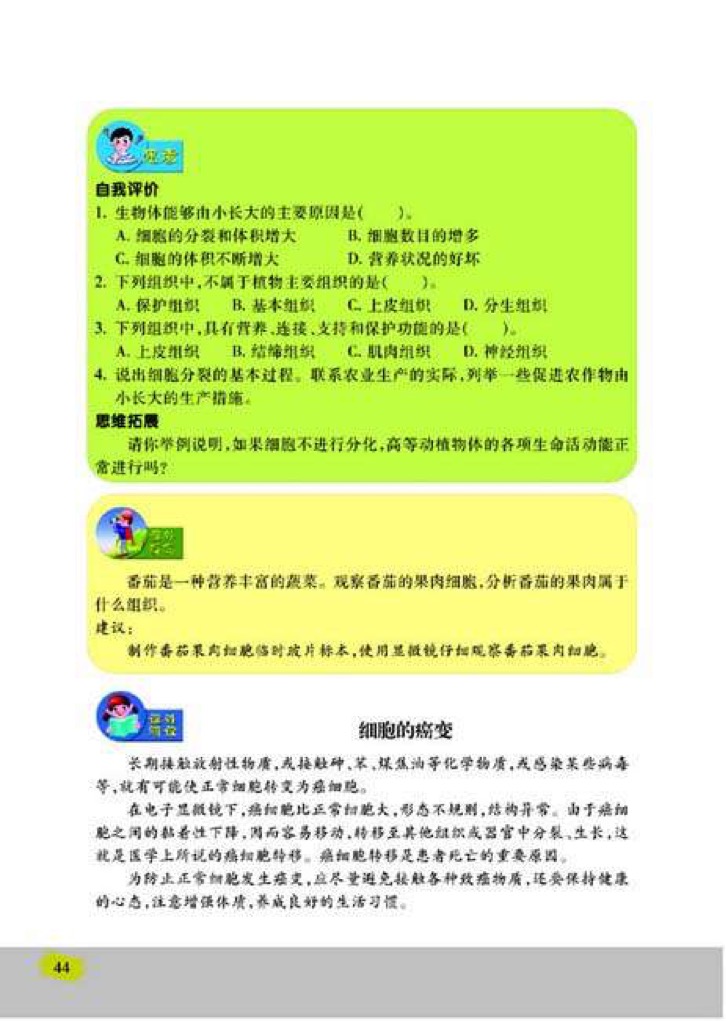 「1」、细胞的分裂与分化(3)