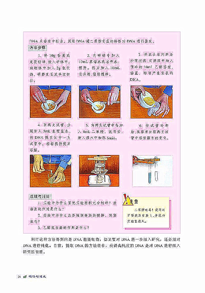 DNA贮存遗传信息(6)