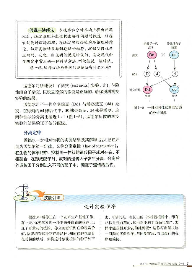 孟德尔的豌豆杂交实验（一）(6)