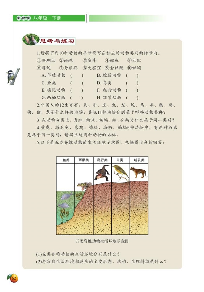 动物的主要类群(18)