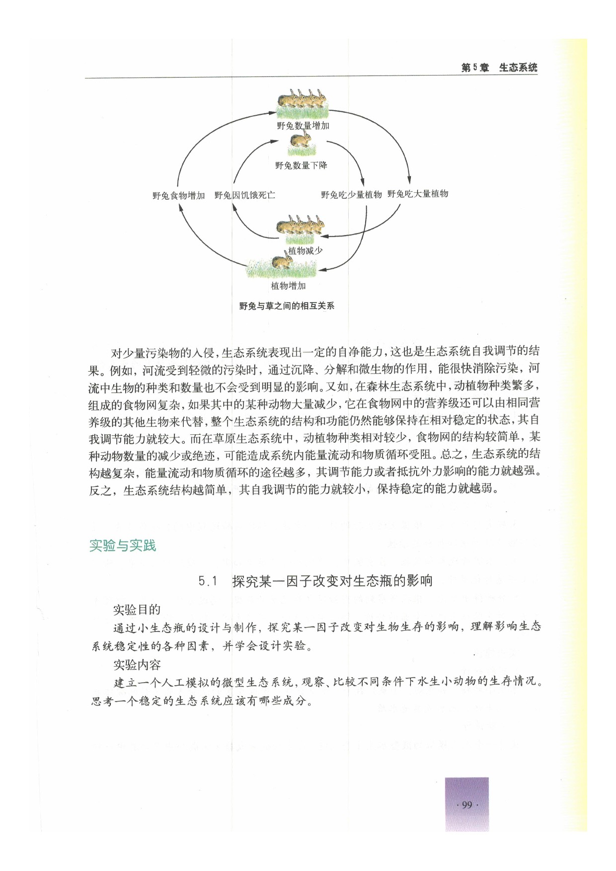 第三节 生态系统的稳定性(5)