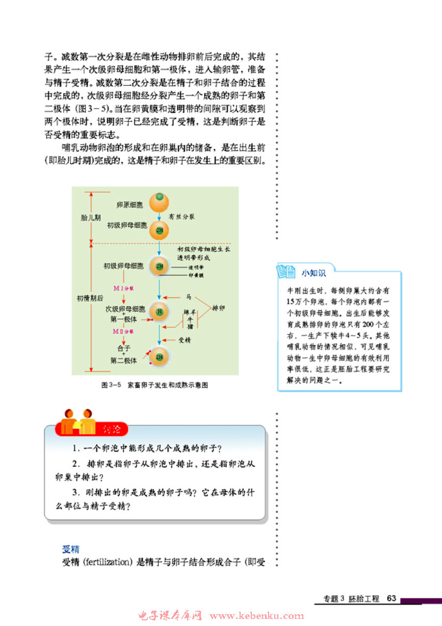 「3」.1 体内受精和早期胚胎发育(3)