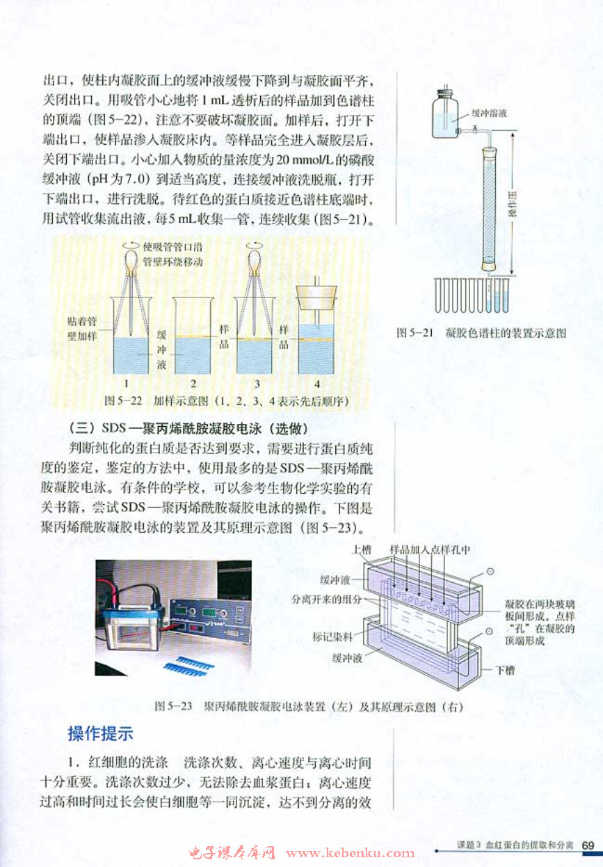 课题3 血红蛋白的提取和分离(6)