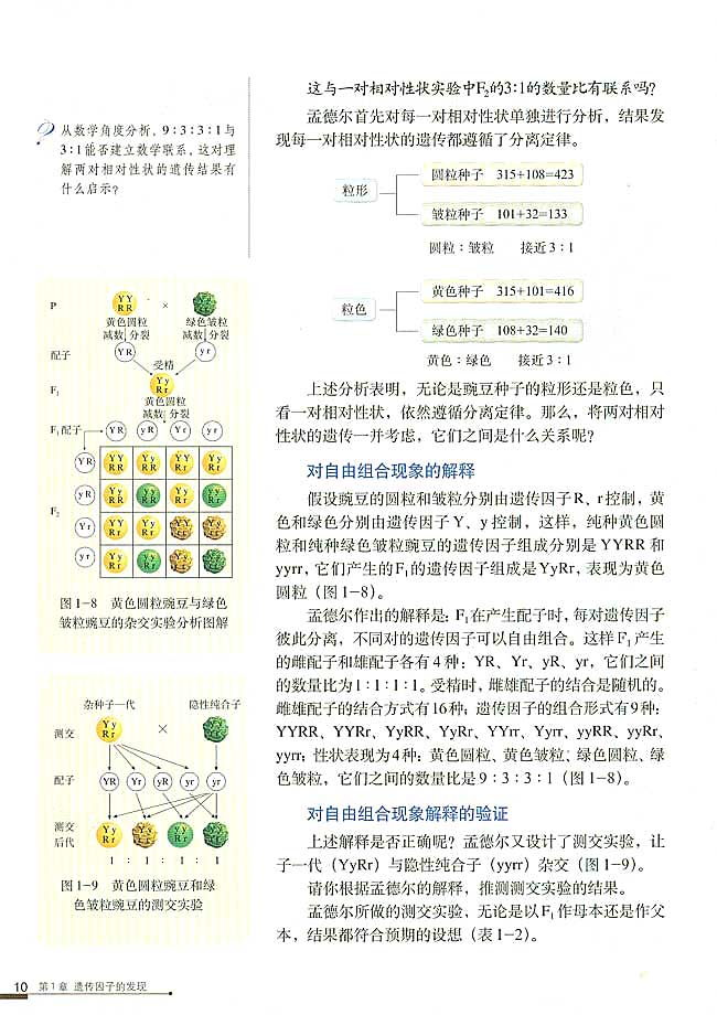 孟德尔的豌豆杂交实验（二）(2)