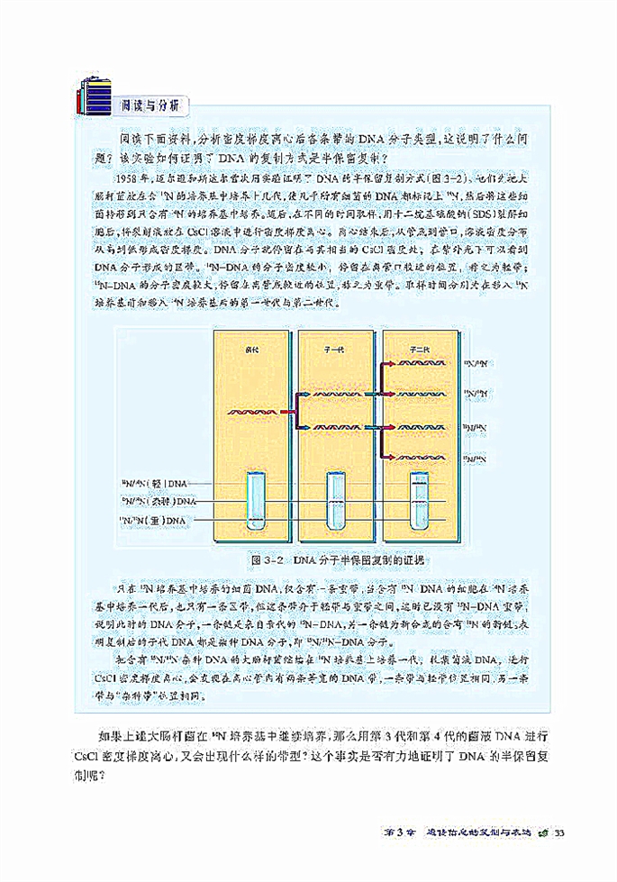 遗传信息的复制(5)