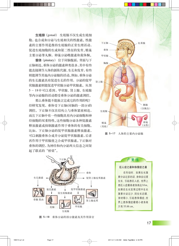 内分泌系统中信息的传递和调节(2)