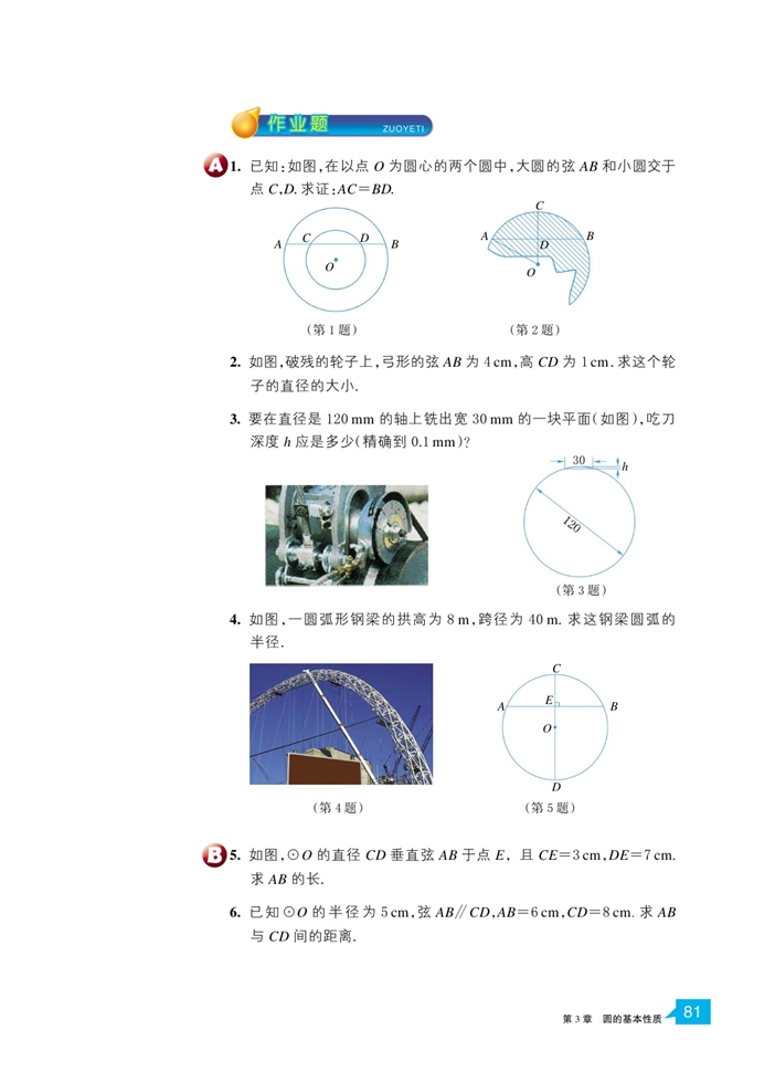 垂径定理(6)