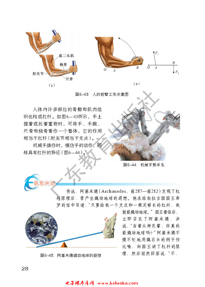 「6」.5 探究杠杆的平衡条件(5)