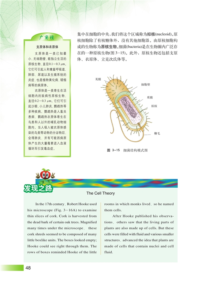 生命结构基础(14)