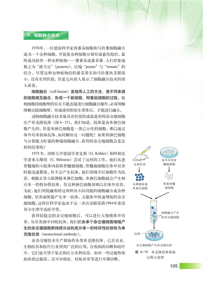 细胞工程(11)