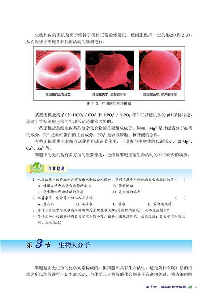 生物大分子