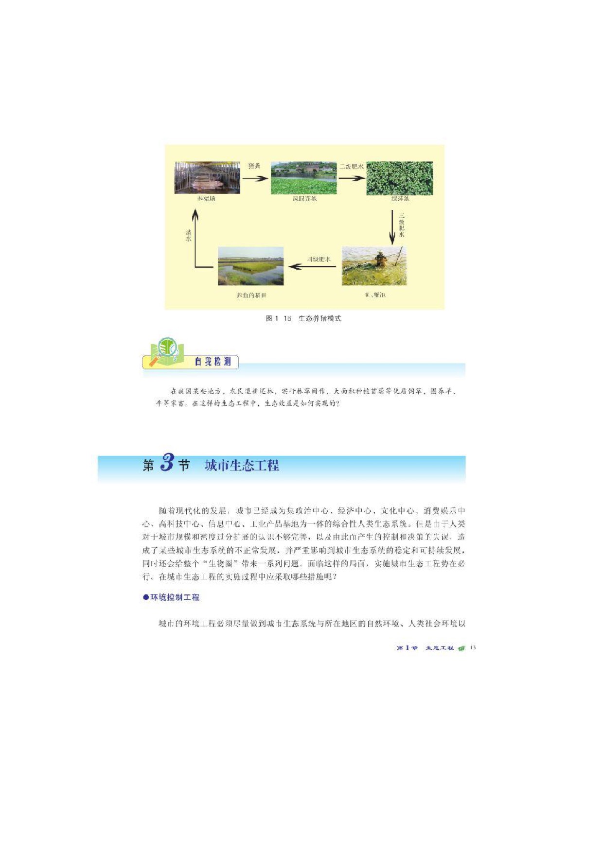 第三节城市生态工程