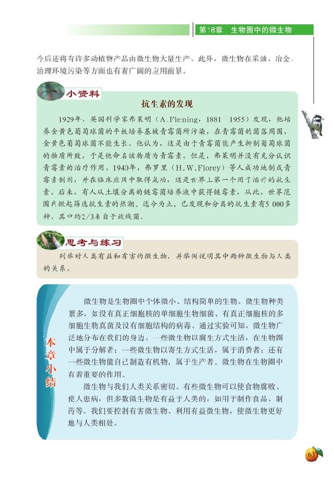 微生物与人类的关系(4)