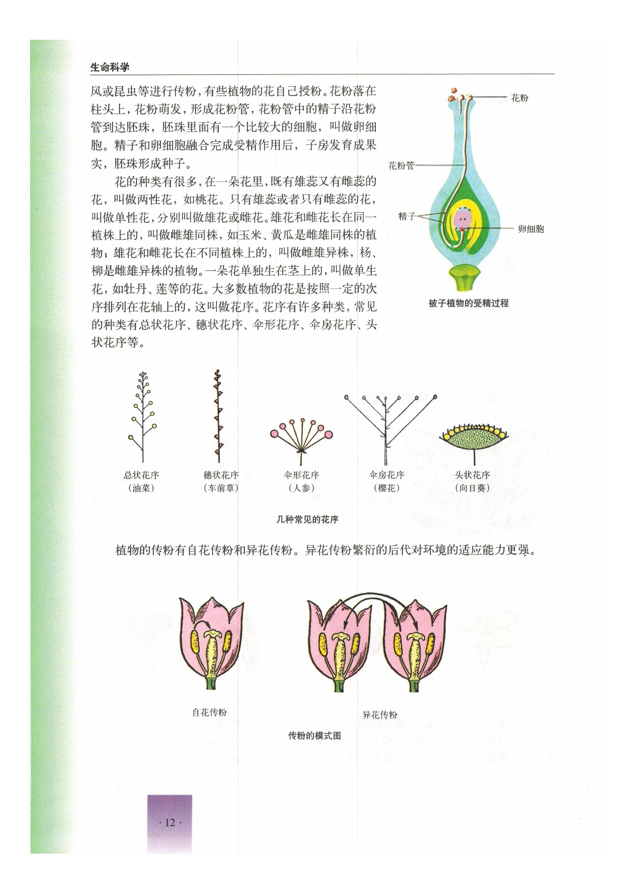 第一节 植物(11)