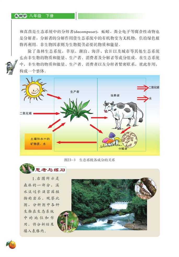 生态系统概述(4)