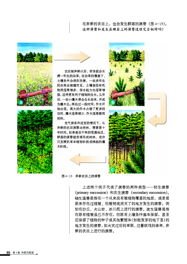 群落的演替(3)