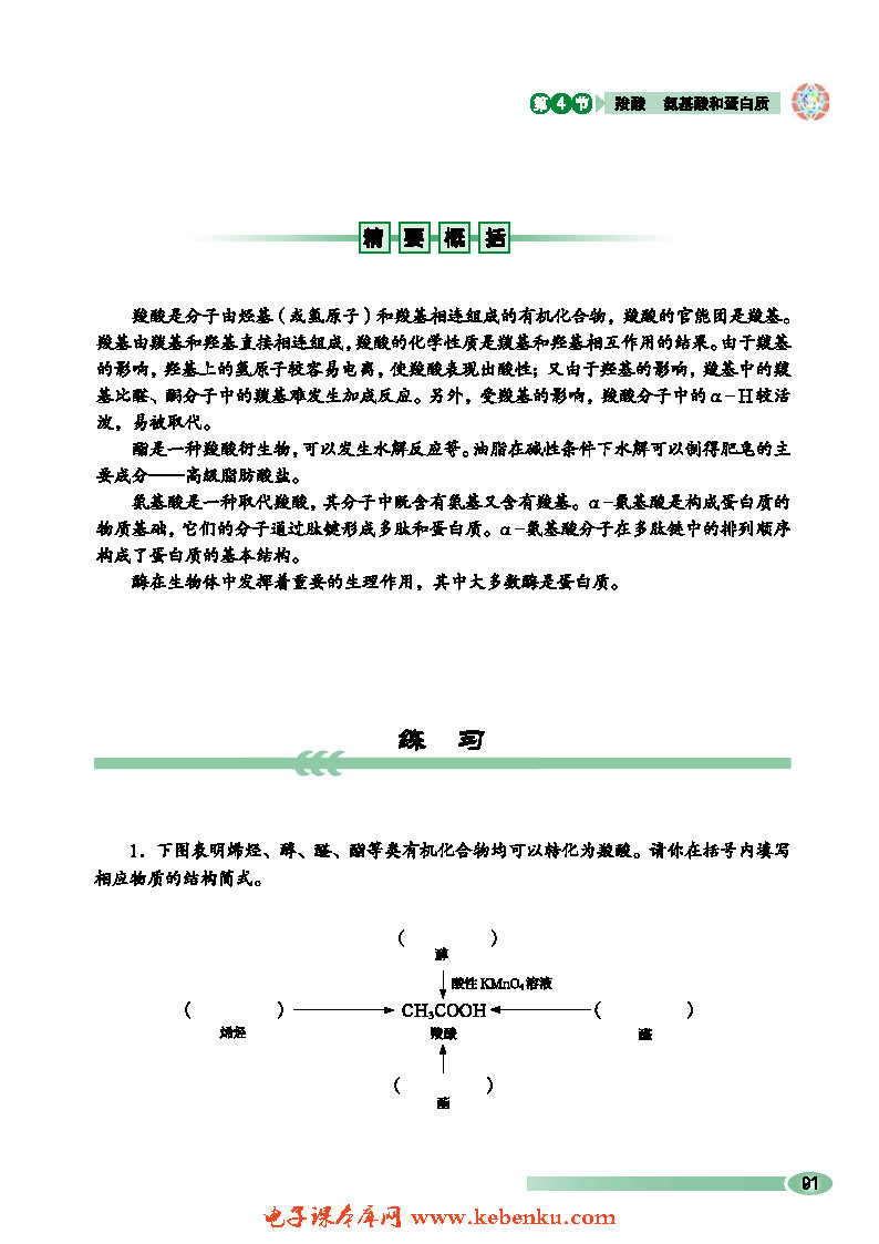 第4节 羧酸 氨基酸和蛋白质(11)